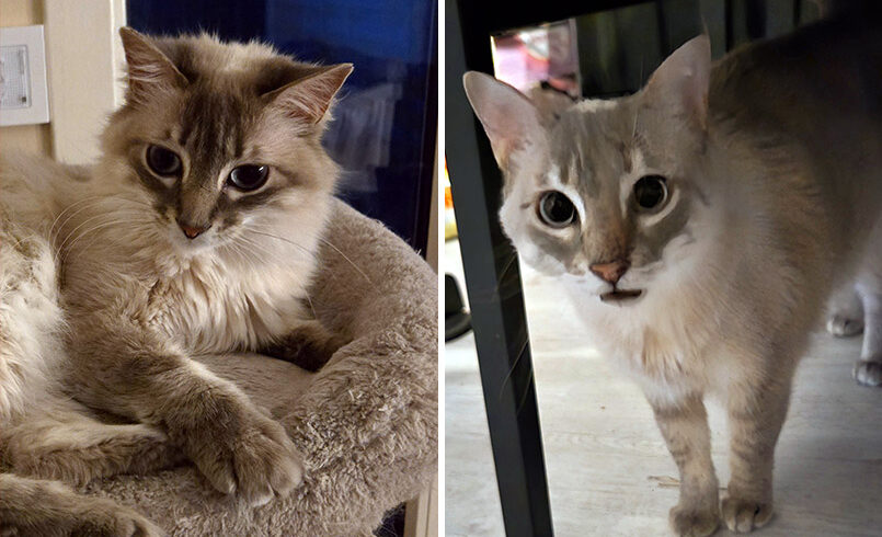 Coco & Ciri