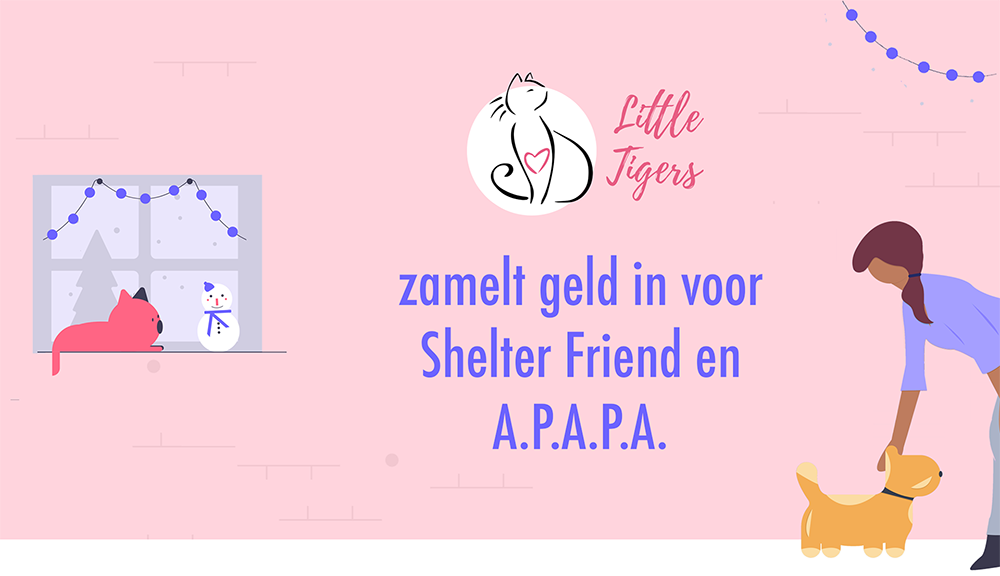 Little Tigers zamelt geld in voor Shelter Friends en A.P.A.P.A.