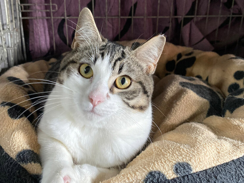 Samantha