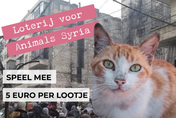 Loterij voor Animals Syria