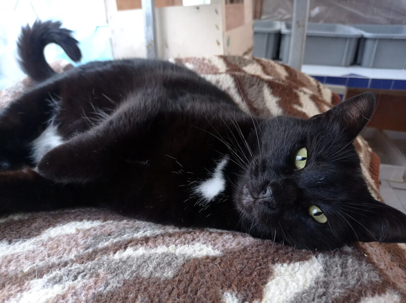 Sam