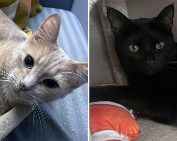 Ron & Chispita