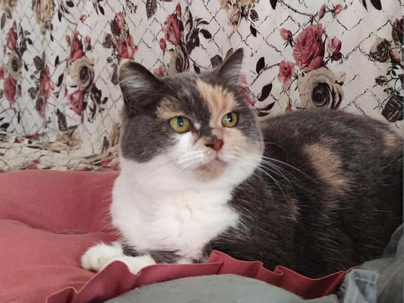 Margo