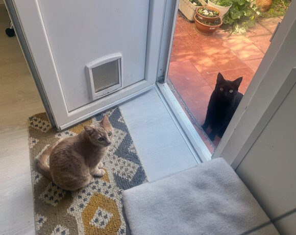 Ron & Chispita