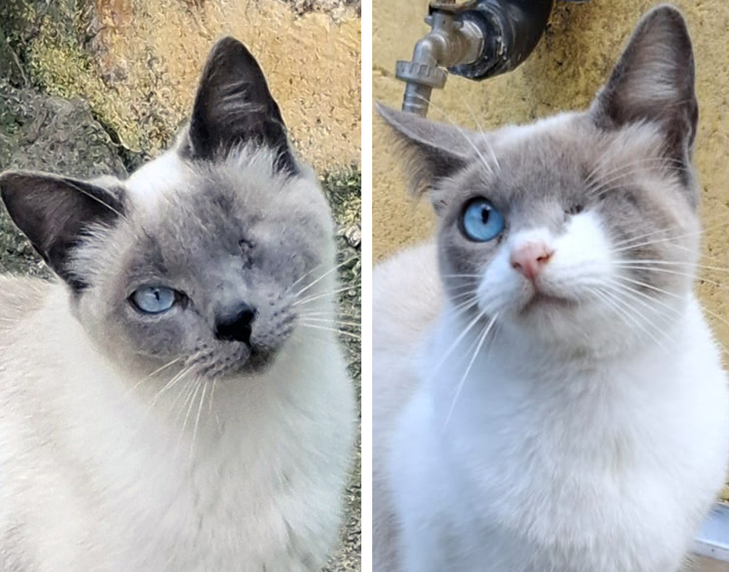 Iris & Regina Iris & Regina