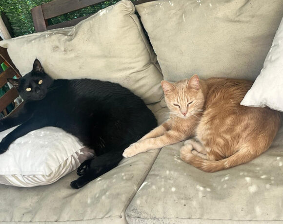 Ron & Chispita