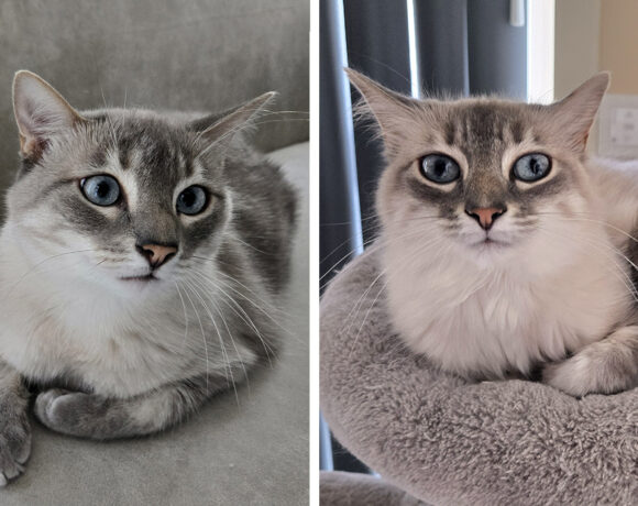 Coco & Ciri