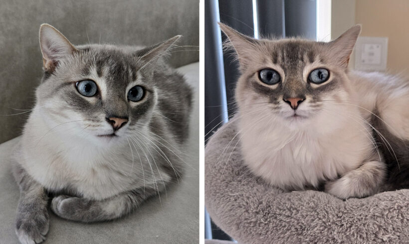 Coco & Ciri
