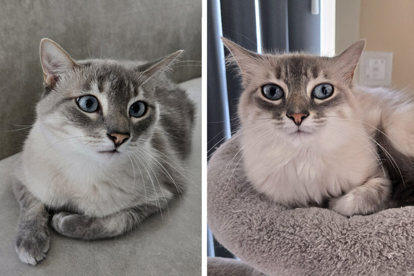 Coco & Ciri Coco & Ciri