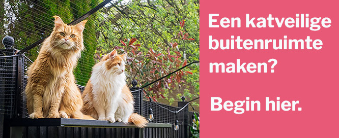 Katveilige buitenruimte maken
