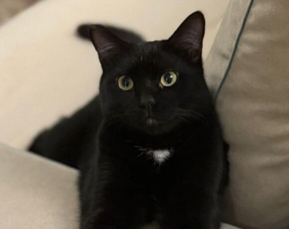 Odin