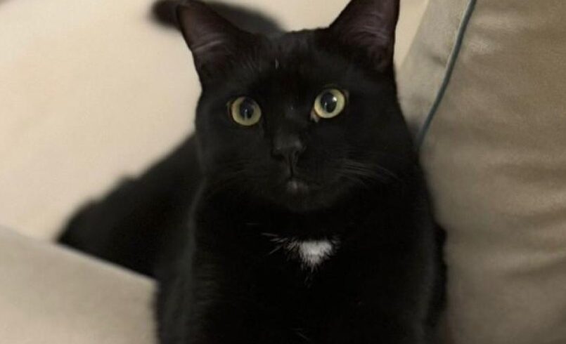 Odin