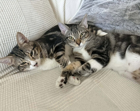 Bruno & Marco Bruno & Marco