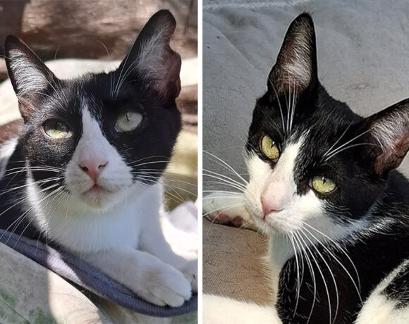 Lilo en Sacha Lilo en Sacha