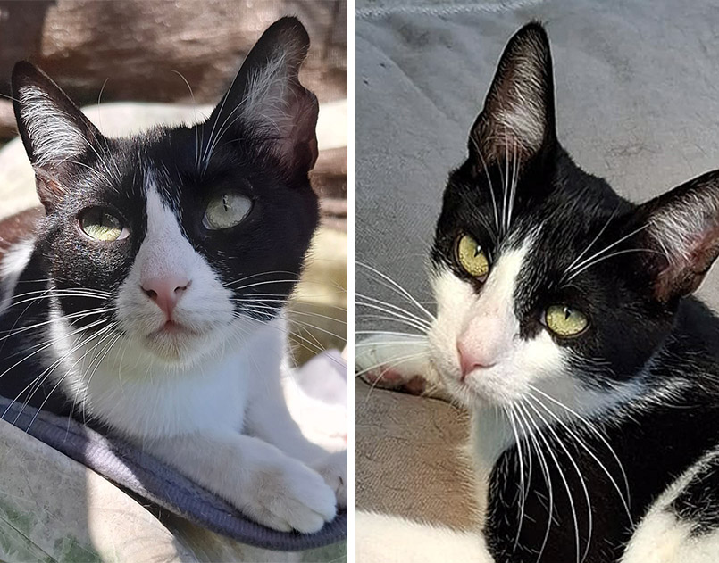 Lilo en Sacha Lilo en Sacha