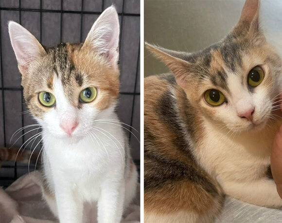 Rosa & Anna Rosa & Anna