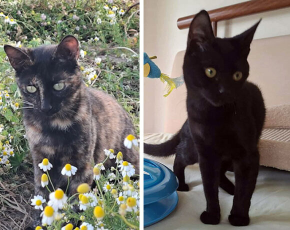Piki en Nini