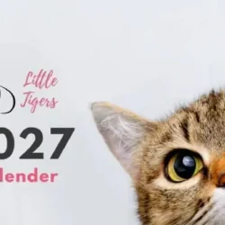 Bestel de Little Tigers jaarkalender 2027
