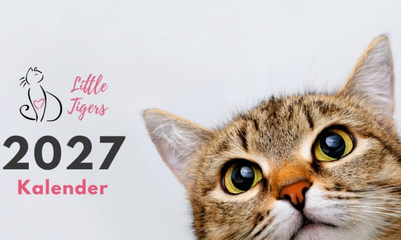 Bestel de Little Tigers jaarkalender 2027